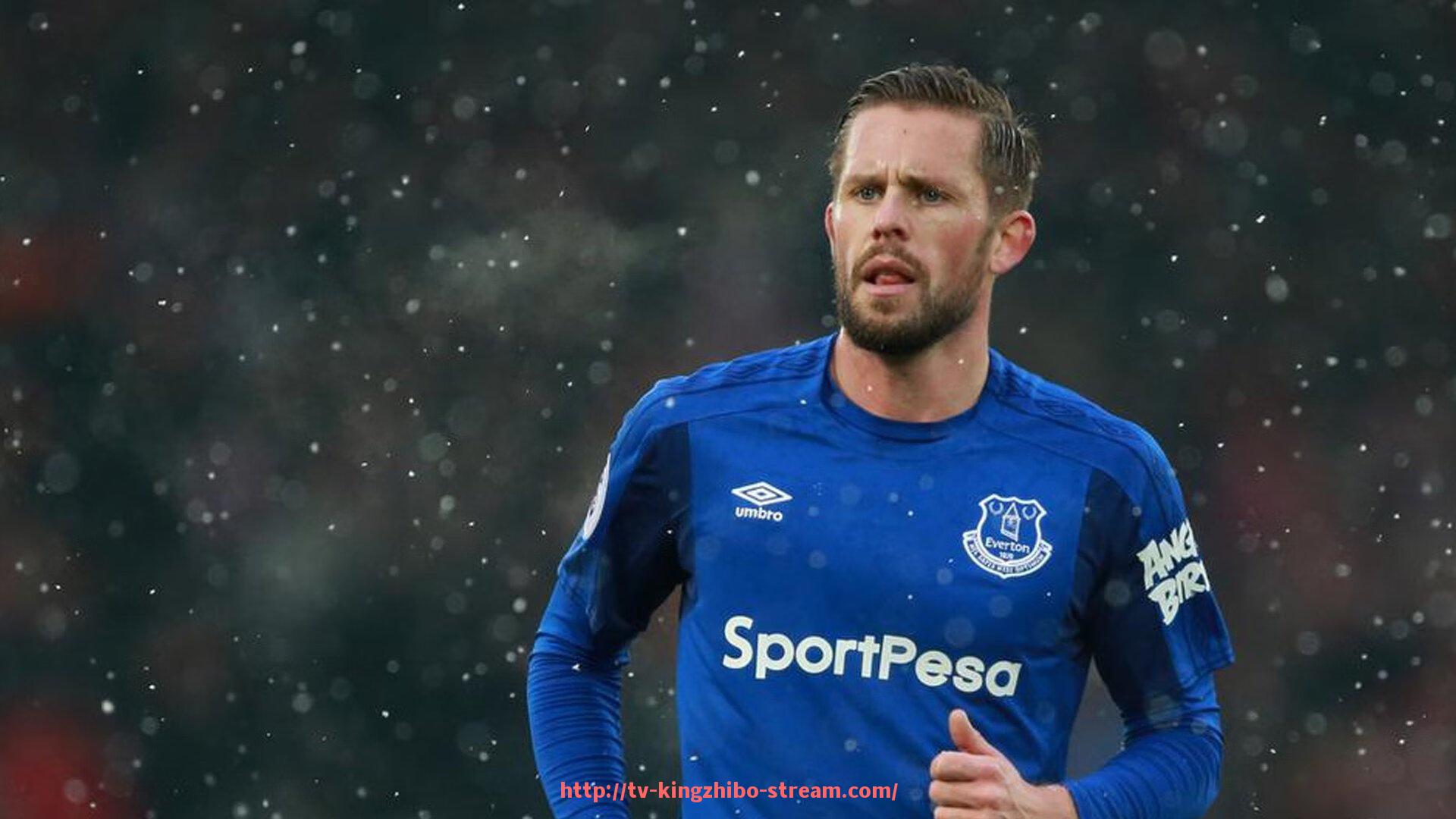 王者体育直播-法甲外援技术适应总结及其对赛季竞技状态的影响