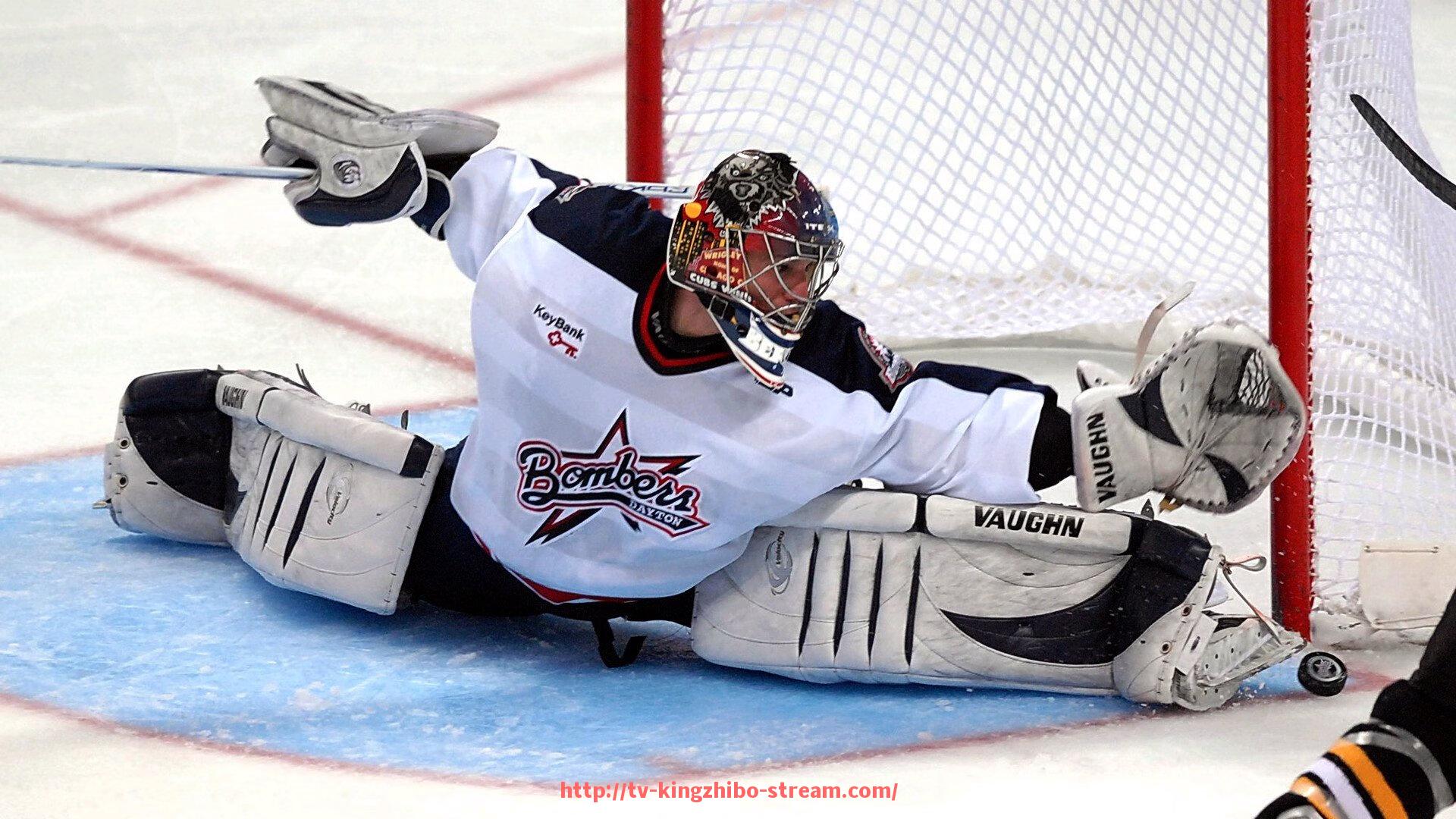 王者体育直播-德甲各支球队的专职巴士司机趣闻集锦